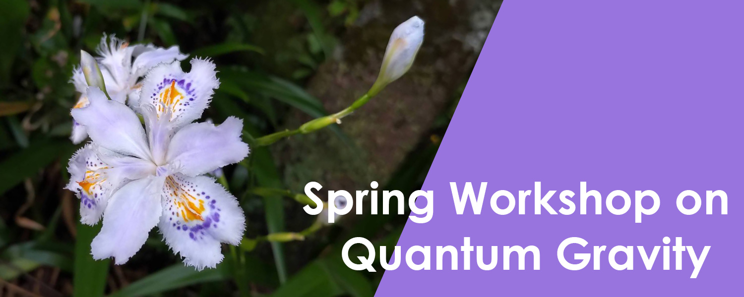 Spring Workshop on Quantum Gravity